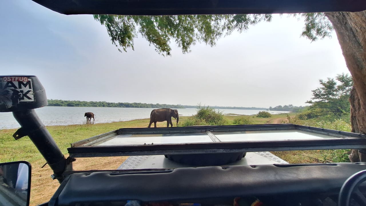 WhatsApp Image 2026-03-04 at 10.20.38 PM