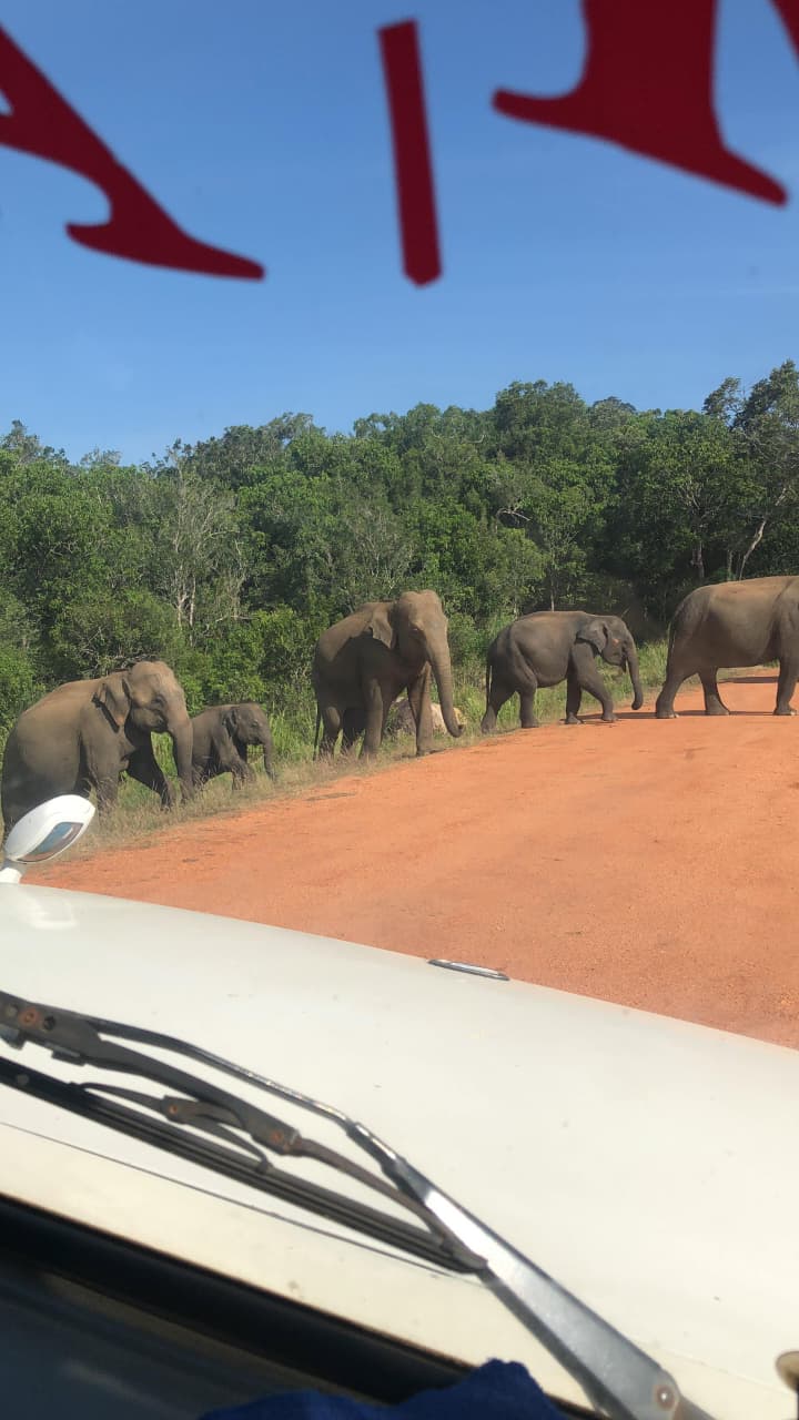 WhatsApp Image 2026-03-04 at 10.20.43 PM