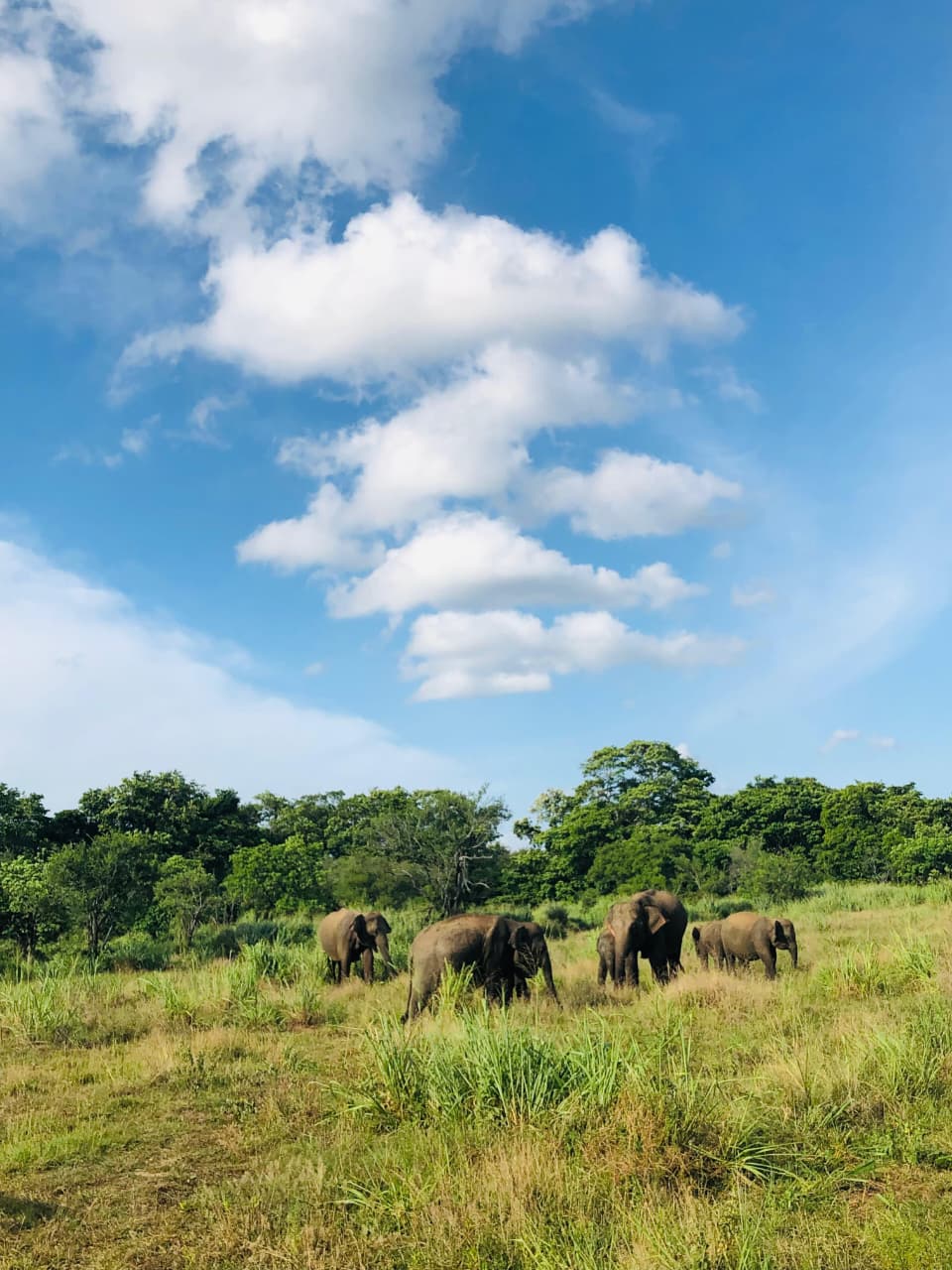 WhatsApp Image 2026-03-04 at 10.20.45 PM