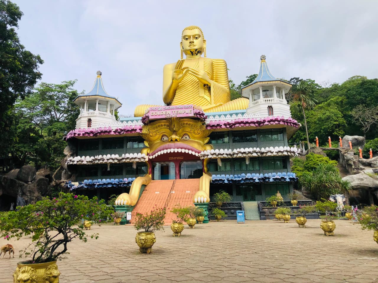 WhatsApp Image 2026-03-04 at 10.20.46 PM (1)