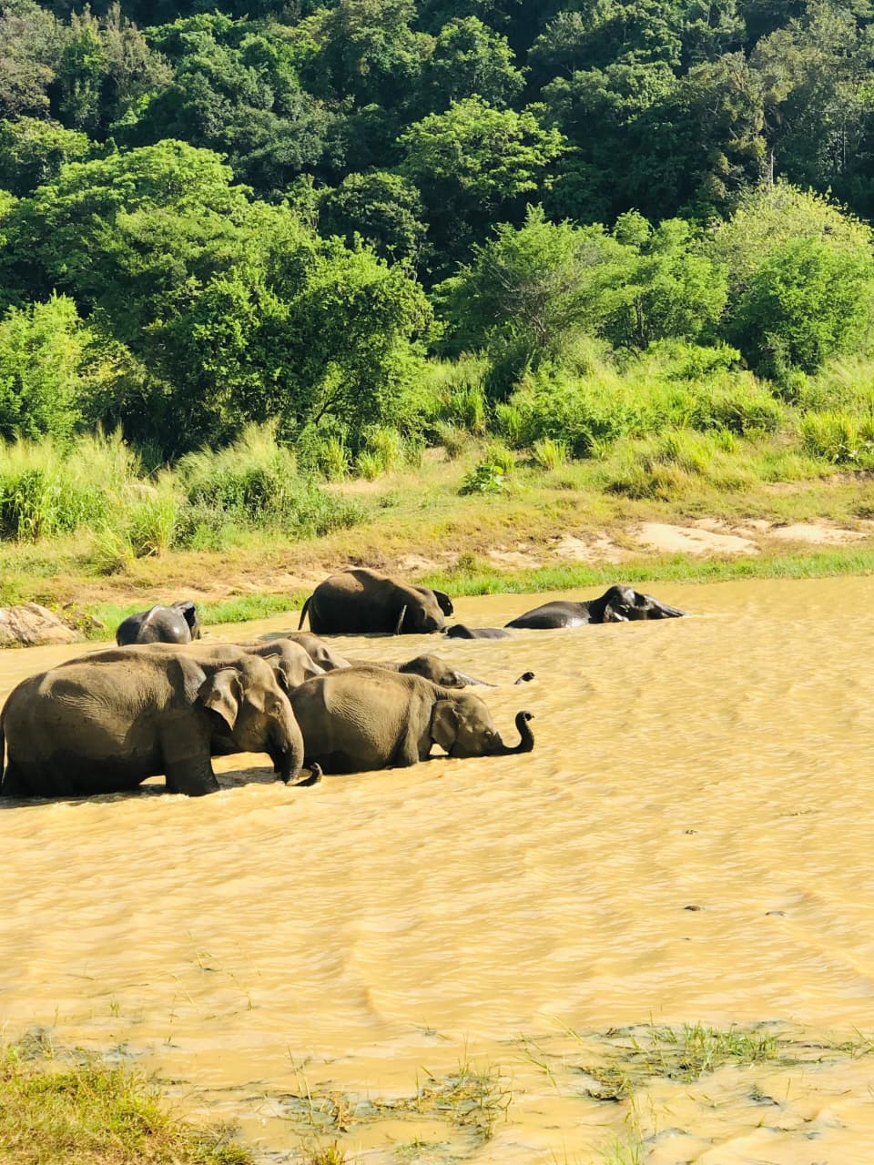 WhatsApp Image 2026-03-04 at 10.20.51 PM (2)