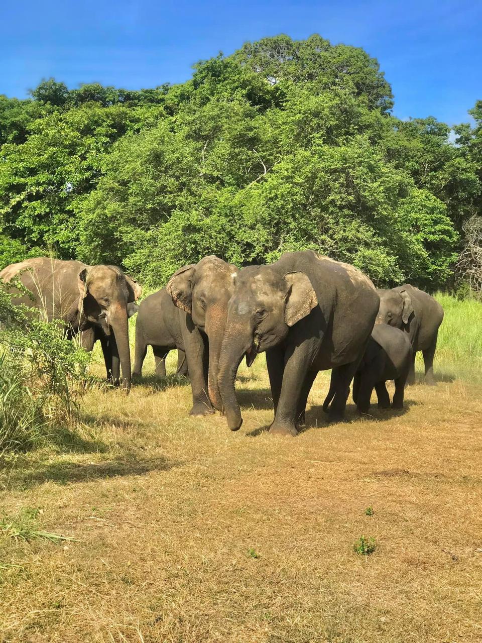 WhatsApp Image 2026-03-04 at 10.20.52 PM