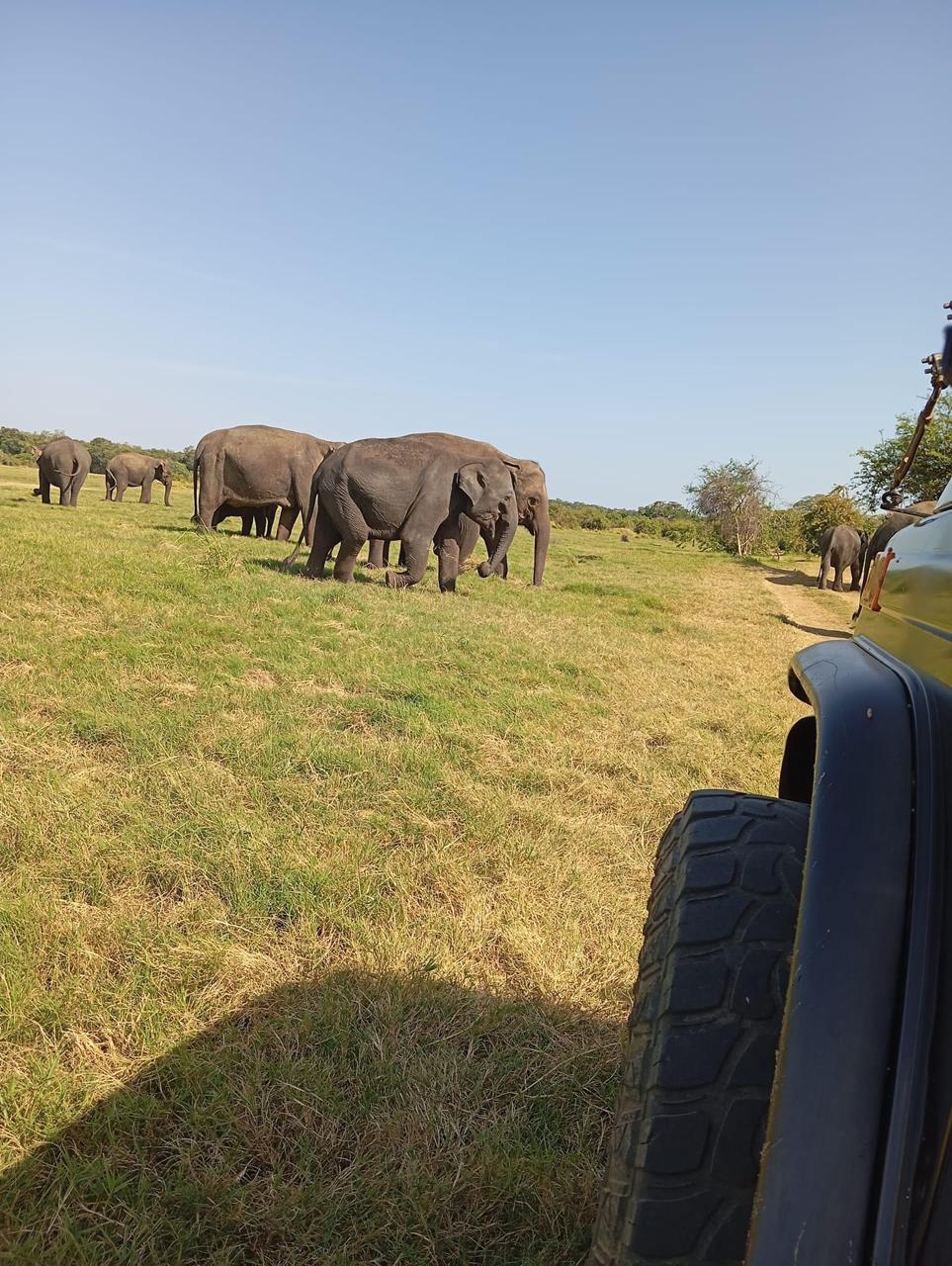 WhatsApp Image 2026-03-04 at 10.20.53 PM (1)