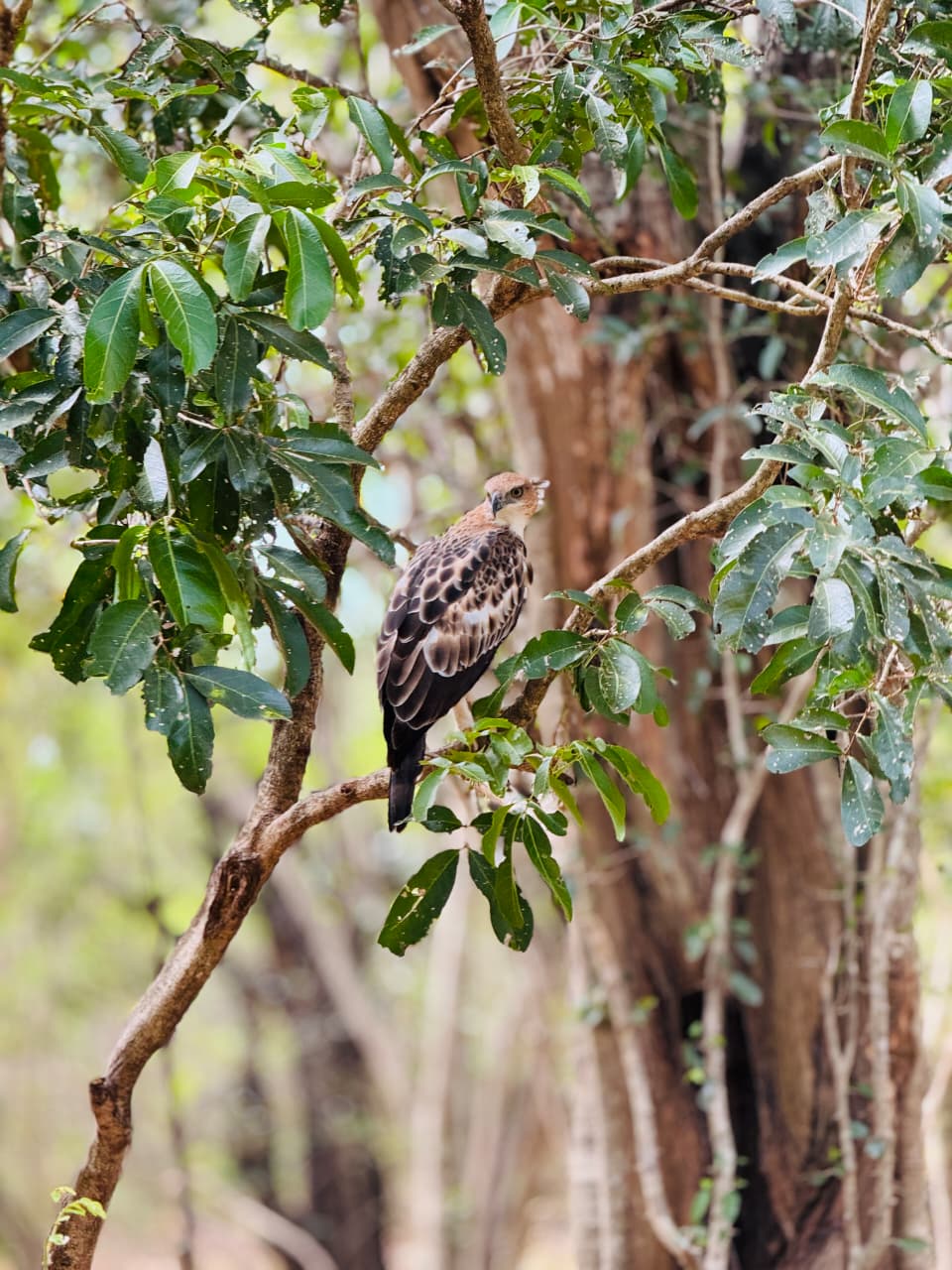 WhatsApp Image 2026-03-04 at 10.22.49 PM (1)