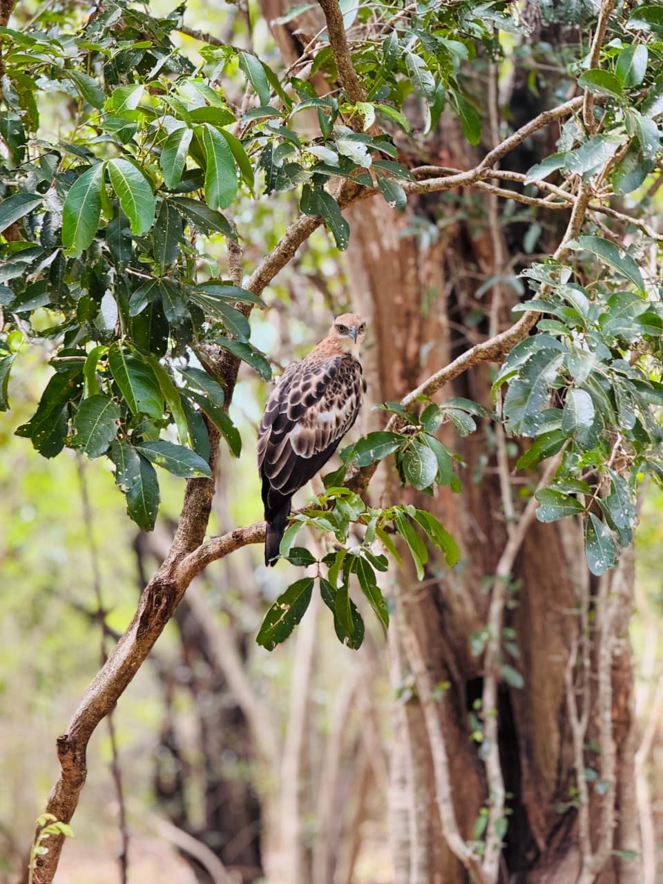 WhatsApp Image 2026-03-04 at 10.22.49 PM (2)