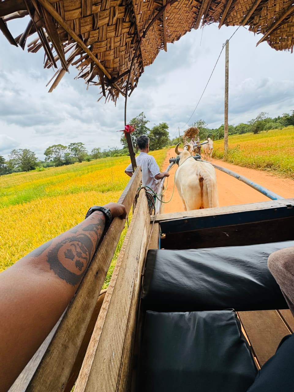 WhatsApp Image 2026-03-04 at 10.22.59 PM (2)