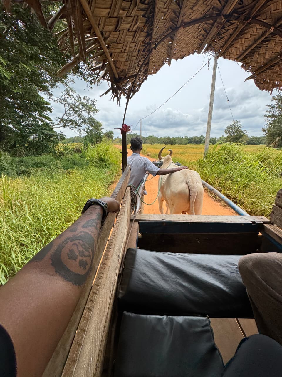 WhatsApp Image 2026-03-04 at 10.23.01 PM (1)