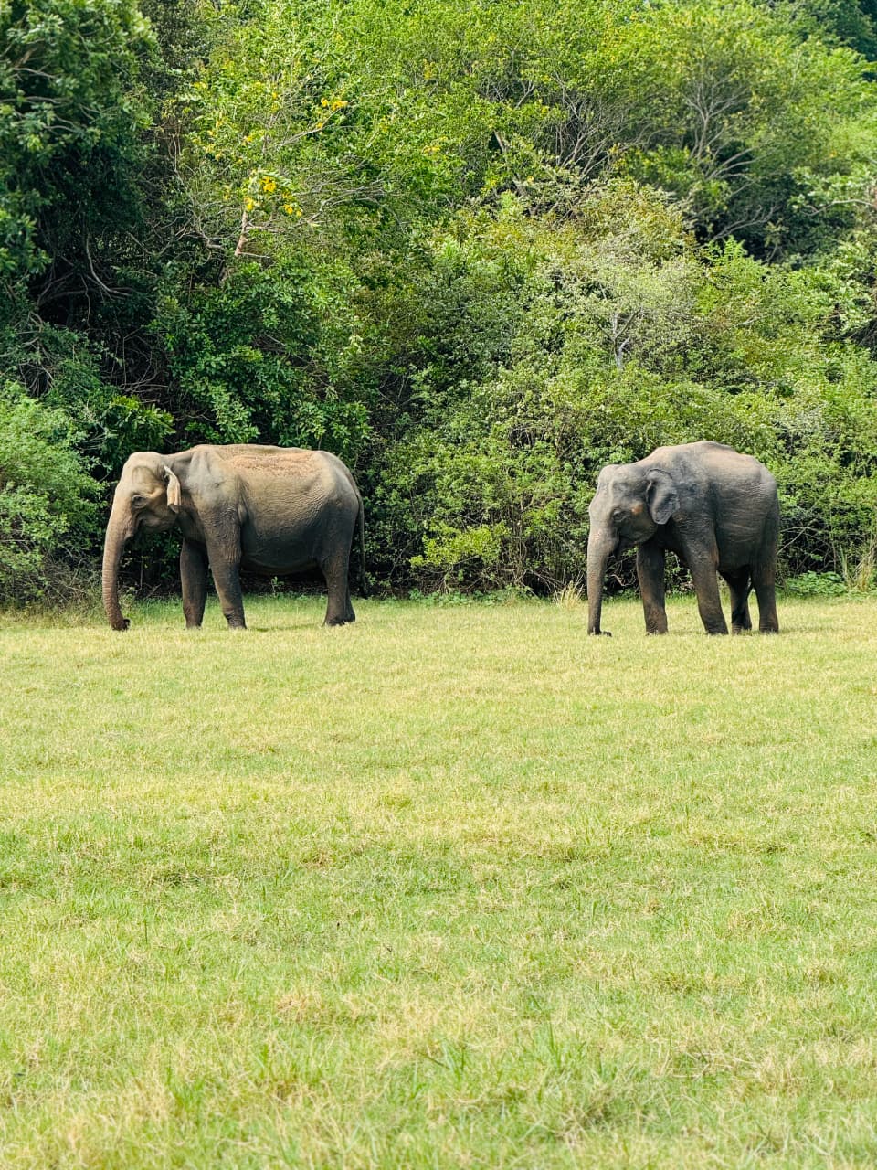 WhatsApp Image 2026-03-04 at 10.23.02 PM (1)